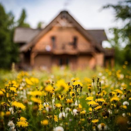 Brzozowy Gaj Bed and Breakfast Glowczyce Esterno foto