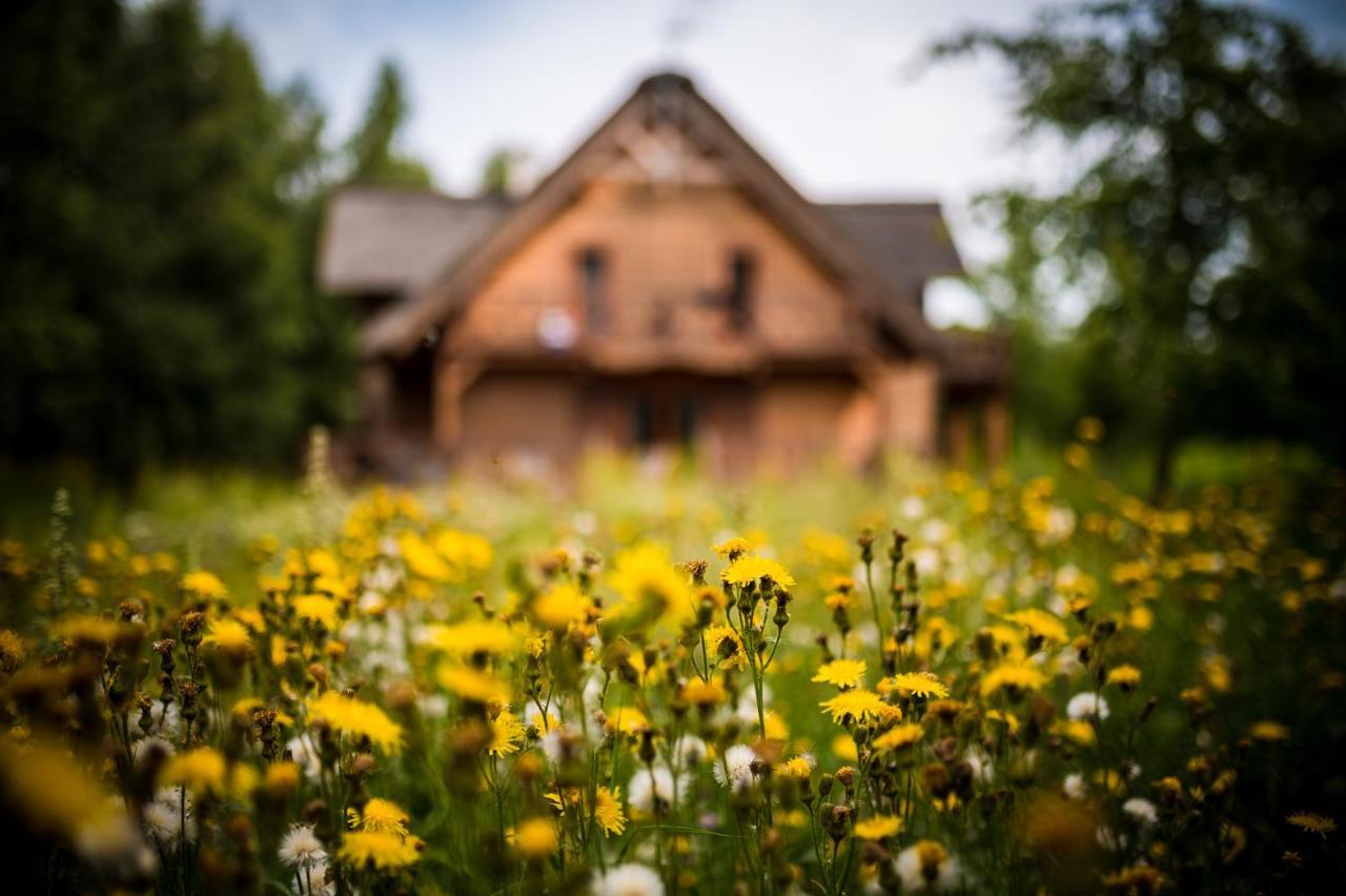 Brzozowy Gaj Bed and Breakfast Glowczyce Esterno foto