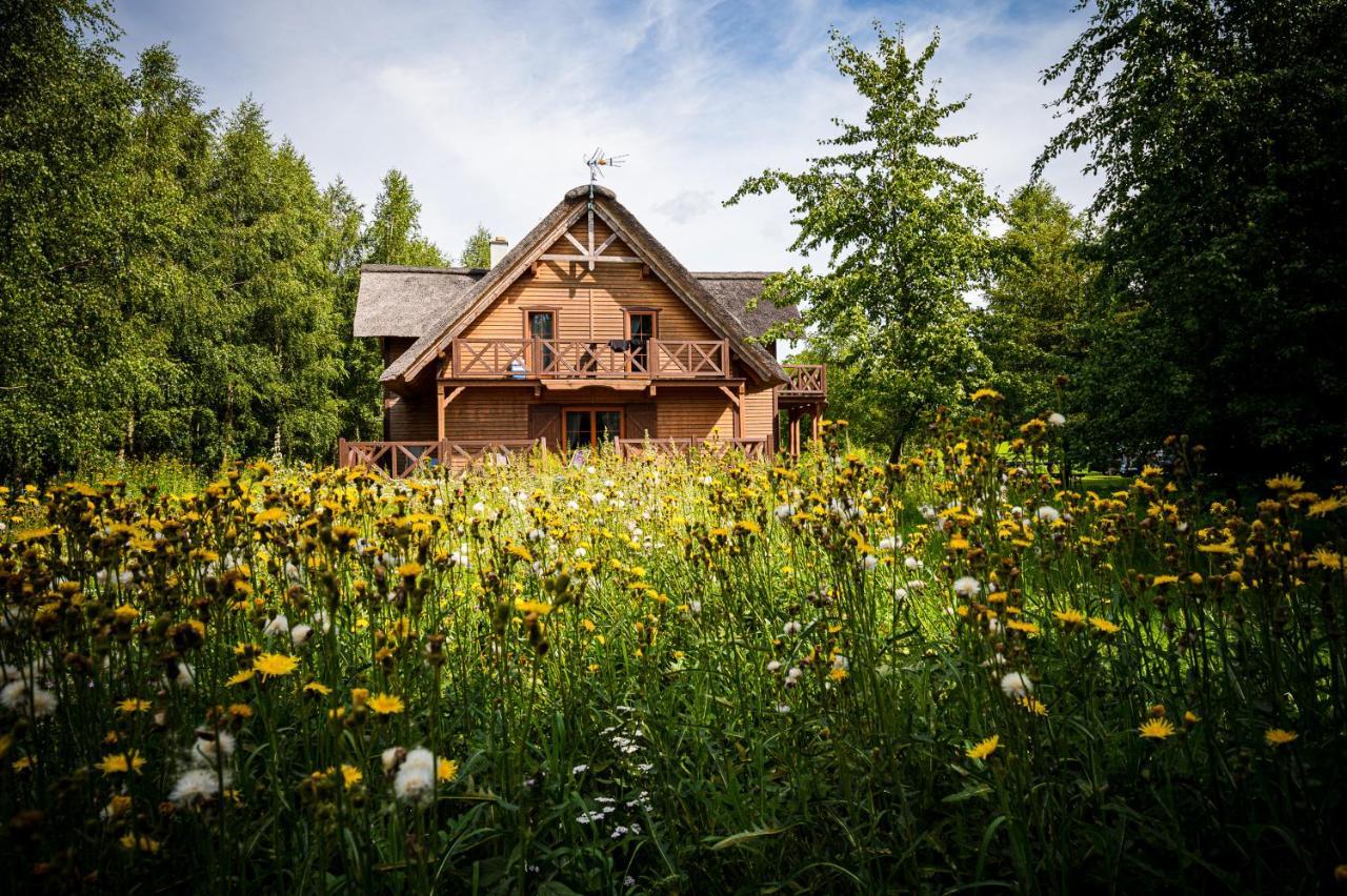 Brzozowy Gaj Bed and Breakfast Glowczyce Esterno foto